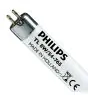 Philips T5 Short 8W - 765 Daglicht | 29cm